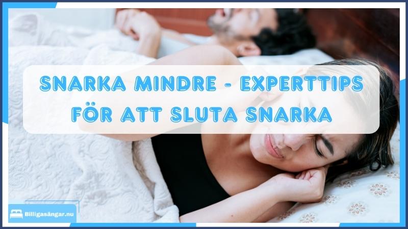 Snarka mindre