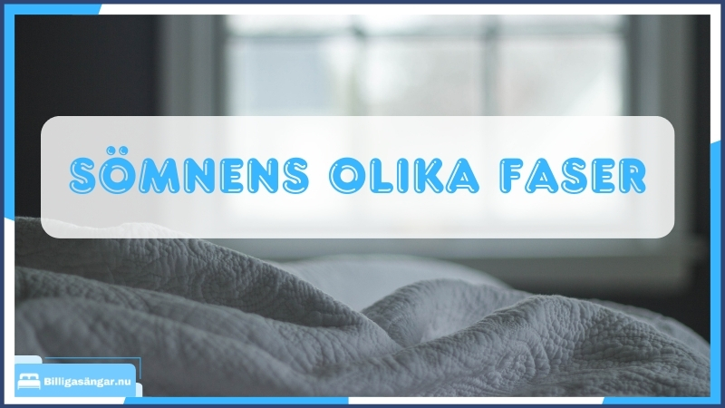 rem sömn djupsömn